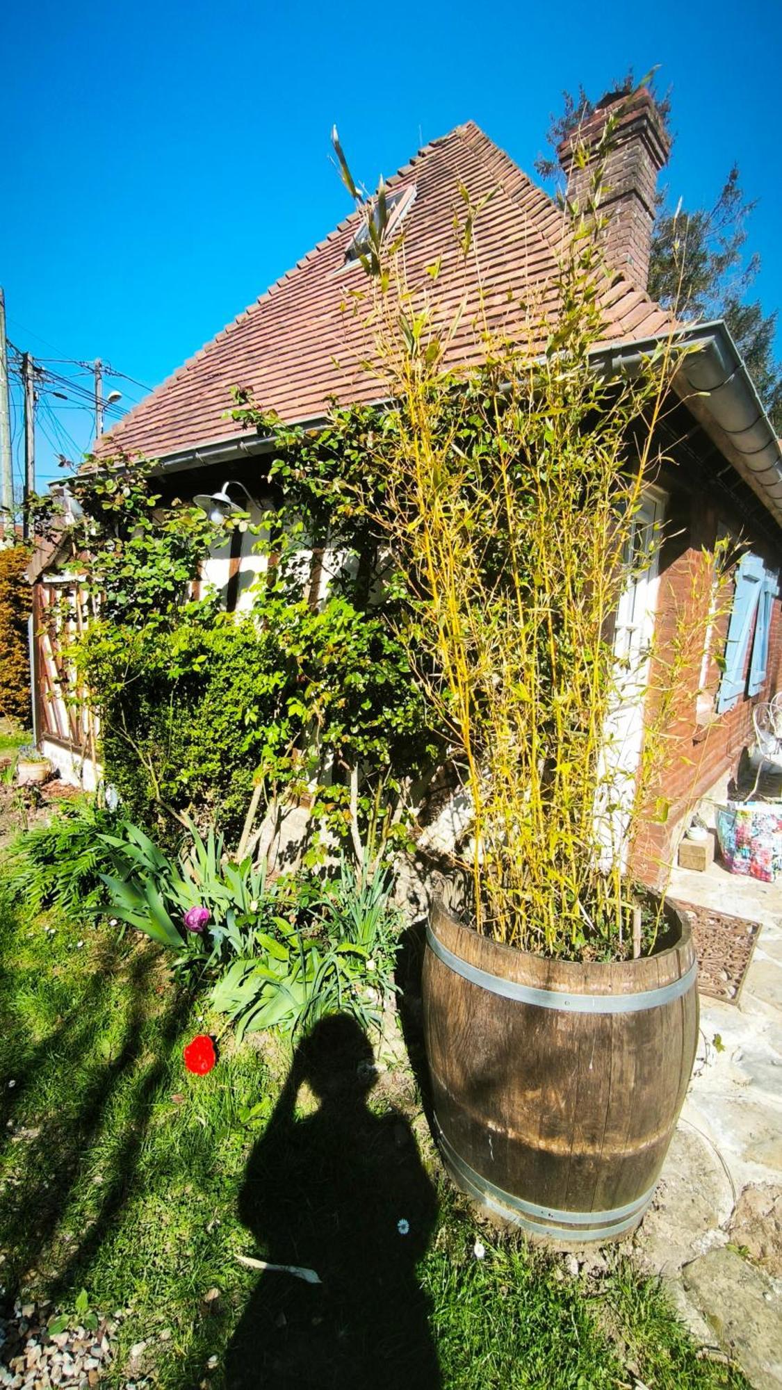 La Longère d'Auberville Esterno foto